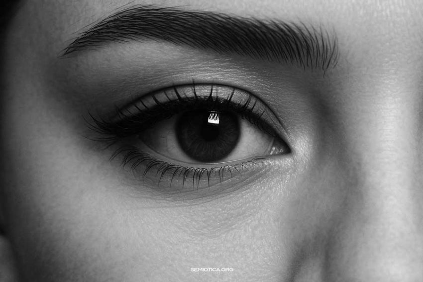 Il percorso generativo del senso Il percorso generativo del senso