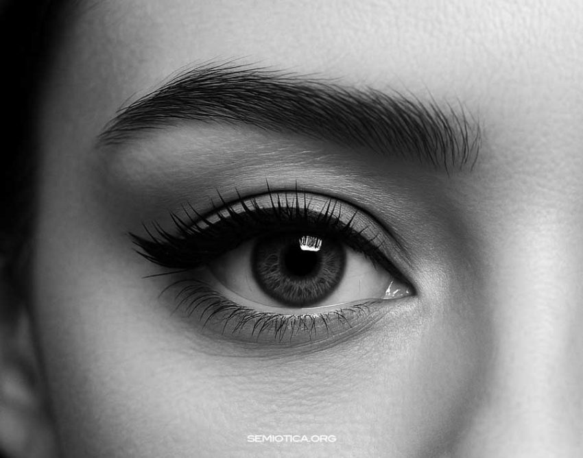 Etica e sociosemiotica della traduzione: valori, generi e prospettive