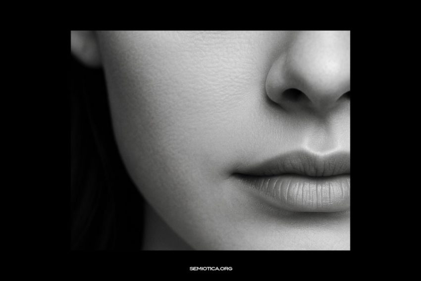 Una prospettiva semiotica sulla traduzione delle metafore Una prospettiva semiotica sulla traduzione delle metafore