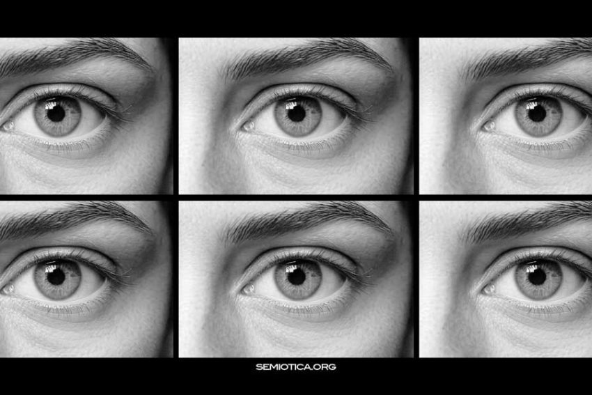 L’immagine generata come linguaggio visivo L’immagine generata come linguaggio visivo