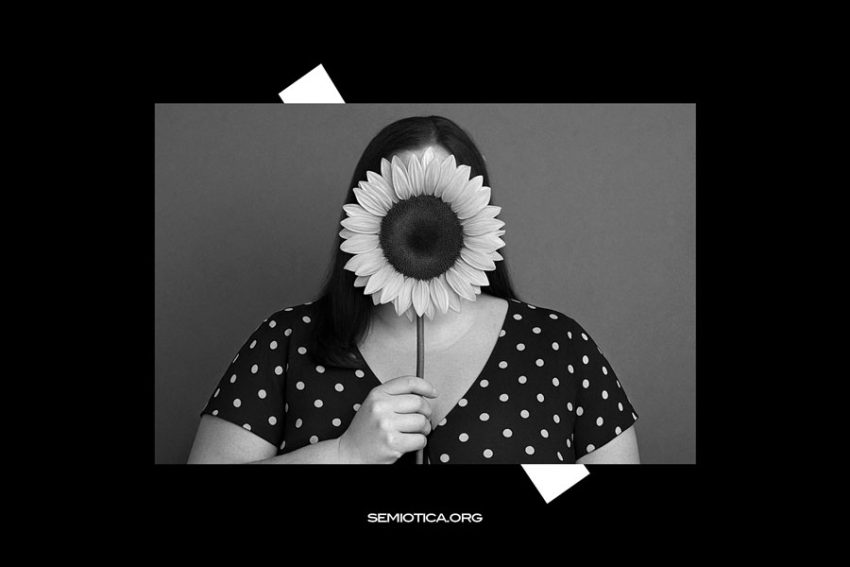 Che cosa studia la semiotica Che cosa studia la semiotica