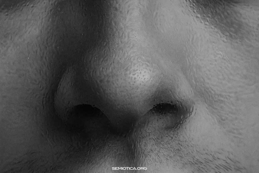 Il mito dell’intelligenza naturale