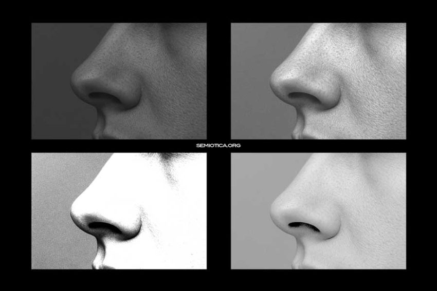 Il gesto linguistico e la percezione in Merleau-Ponty Semiotica e Fenomenologia. Il gesto linguistico e la percezione in Merleau-Ponty