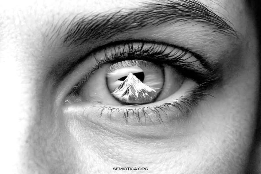 La vita dei segni e il fondamento semiologico della linguistica La vita dei segni e il fondamento semiologico della linguistica