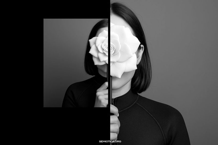 Semiotica. Il mondo sensibile come linguaggio biplanare