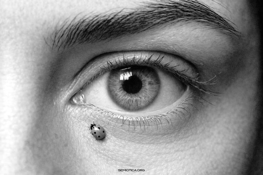 Dalla linguistica alla semiotica