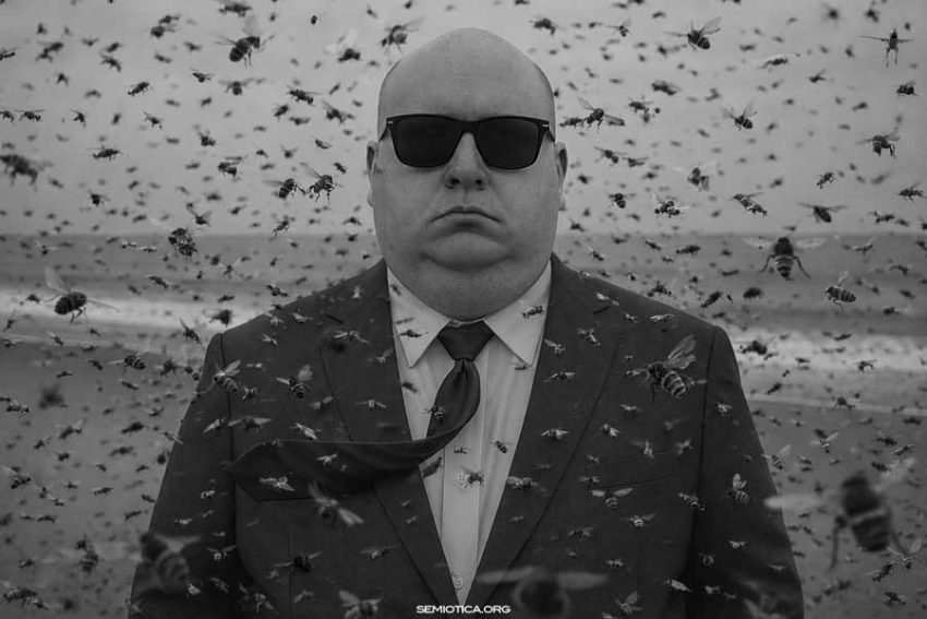 Designing a General Semiotic Theory: Codes and Sign-Production Designing a General Semiotic Theory: Codes and Sign-Production