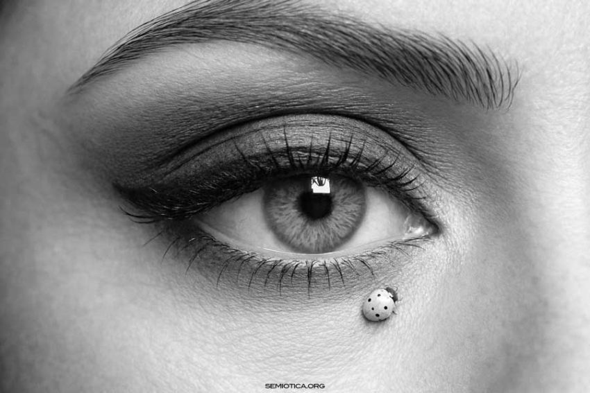 Forme d’emergenza della democrazia. Politiche del senso in comune Forme d’emergenza della democrazia. Politiche del senso in comune