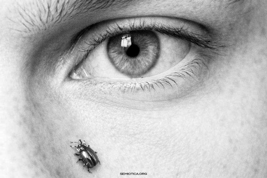 Kant e la semiotica: il problema dei segni tra metodo matematico e metodo filosofico Matematica e filosofia nell’Untersuchung del 1764: il problema del metodo e dei segni