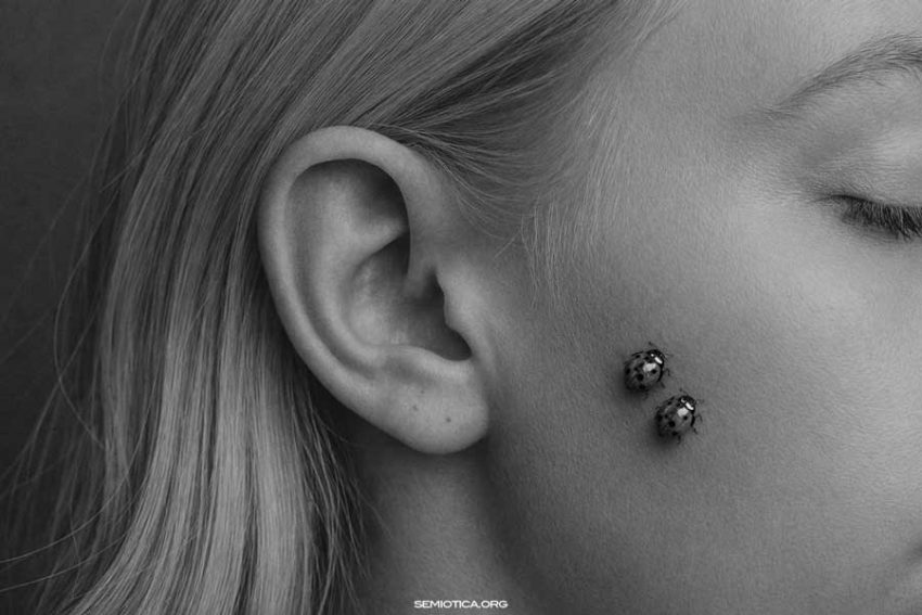 Semiotica e scienze cognitive