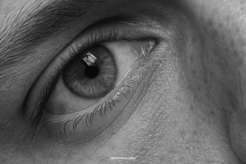 Dal mondo ai modelli: che cosa chiamiamo “realtà”?