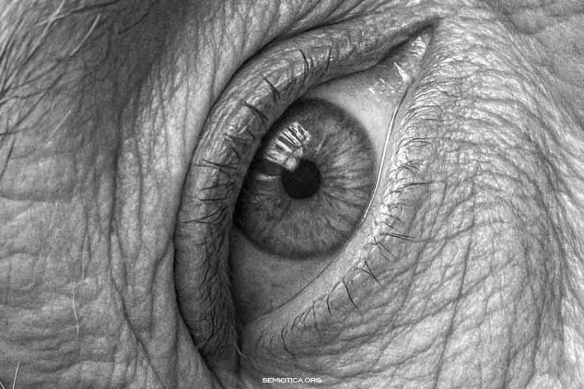 Peirce e Saussure: due paradigmi della semiotica moderna