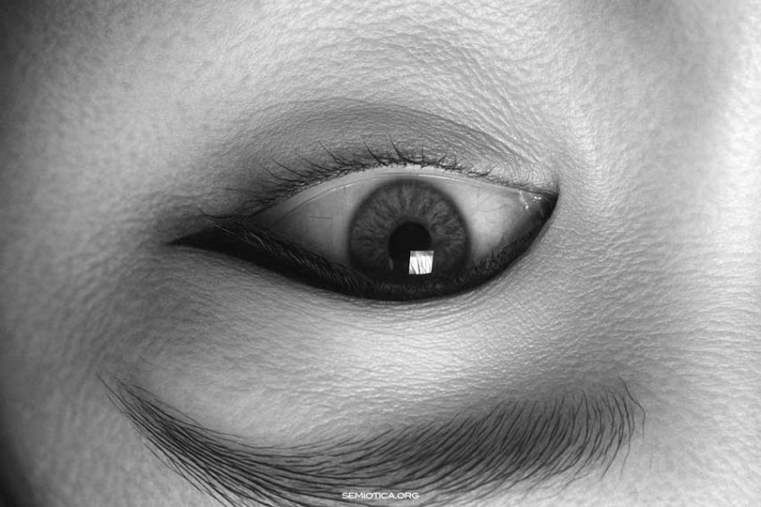 Oggetto dinamico, oggetto immediato e interpretante