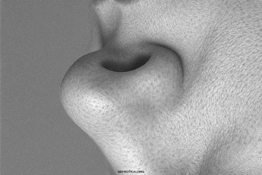 Riferimento e referente: un’ambiguità concettuale persistente