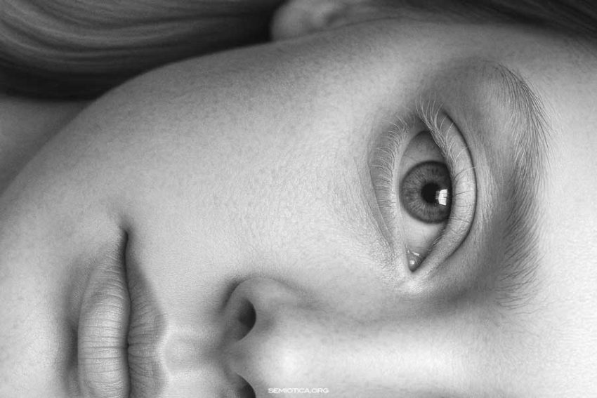 La struttura delle funzioni: Propp e la forma mentis del racconto La struttura delle funzioni: Propp e la forma mentis del racconto