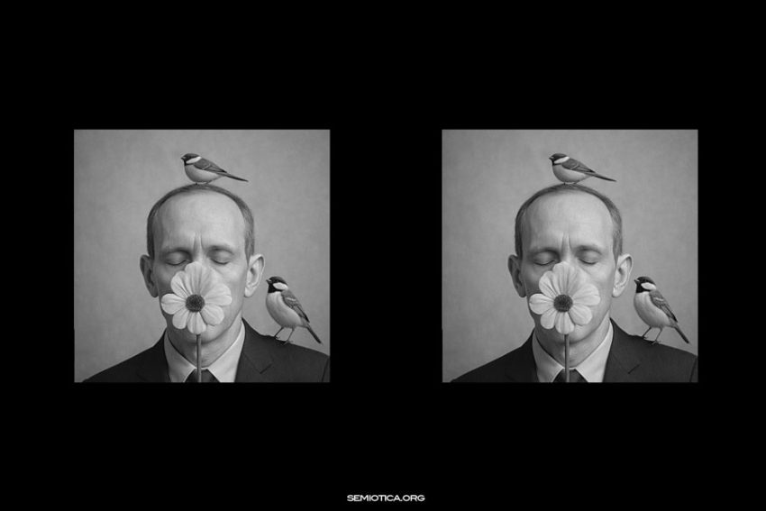 Il campo interpretativo e la semantica dell’esperienza Il campo interpretativo e la semantica dell’esperienza