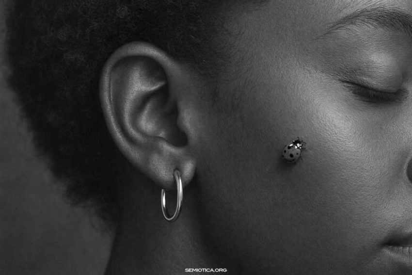 Che cos’è, oggi, la semiotica cognitiva?