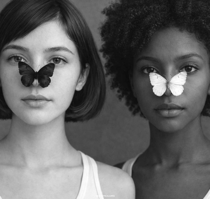 Che cosa studia la semiotica? Che cosa studia la Semiotica?