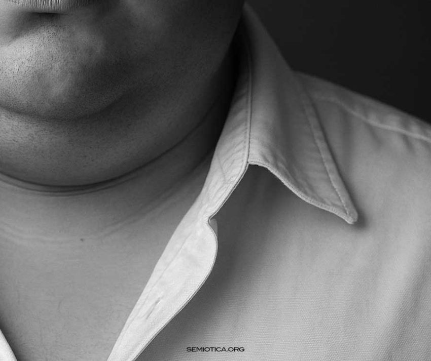 Intentio operis e limiti dell’interpretazione