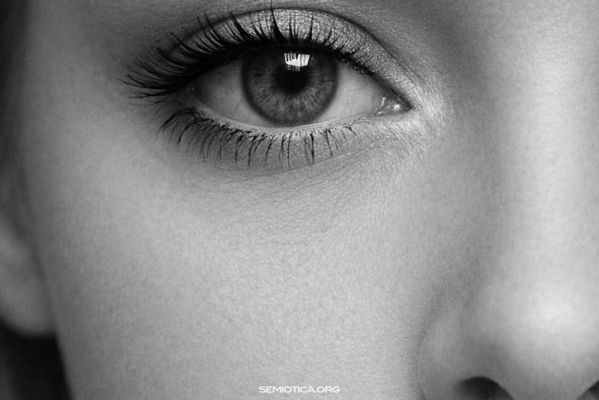 La semiotica oggi: una disciplina in cerca di definizione