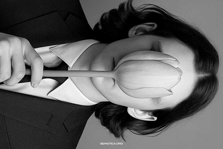 Peirce, Eco e la nozione di sistema semiotico