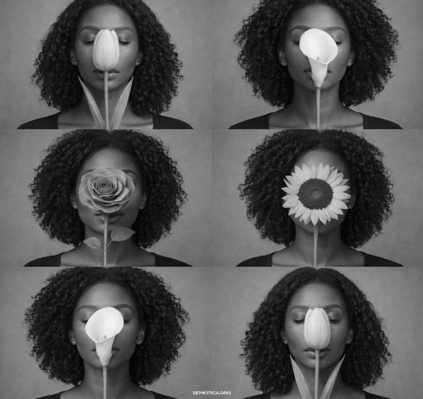 Il significato come valore: la prospettiva della semantica strutturale Semantica strutturale